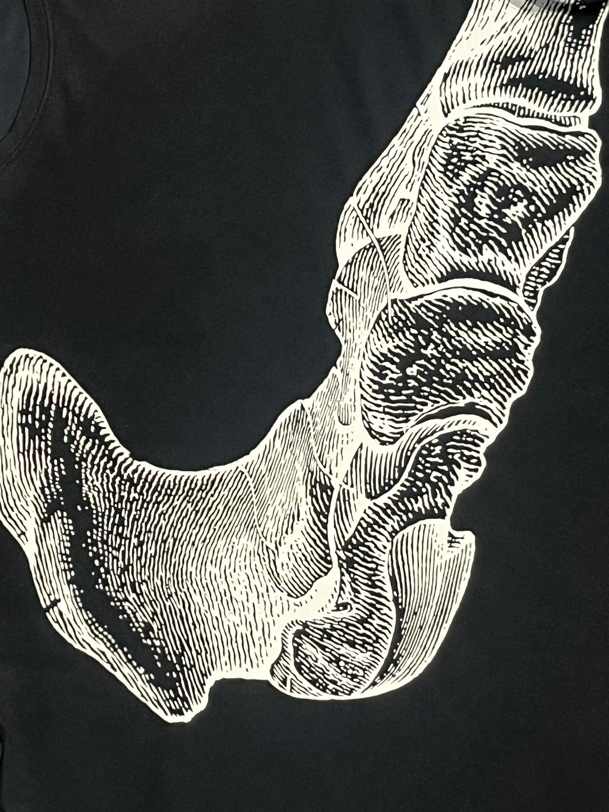 Black & White Nike Men’s Dri Fit Running Division “Bone” T Shirt