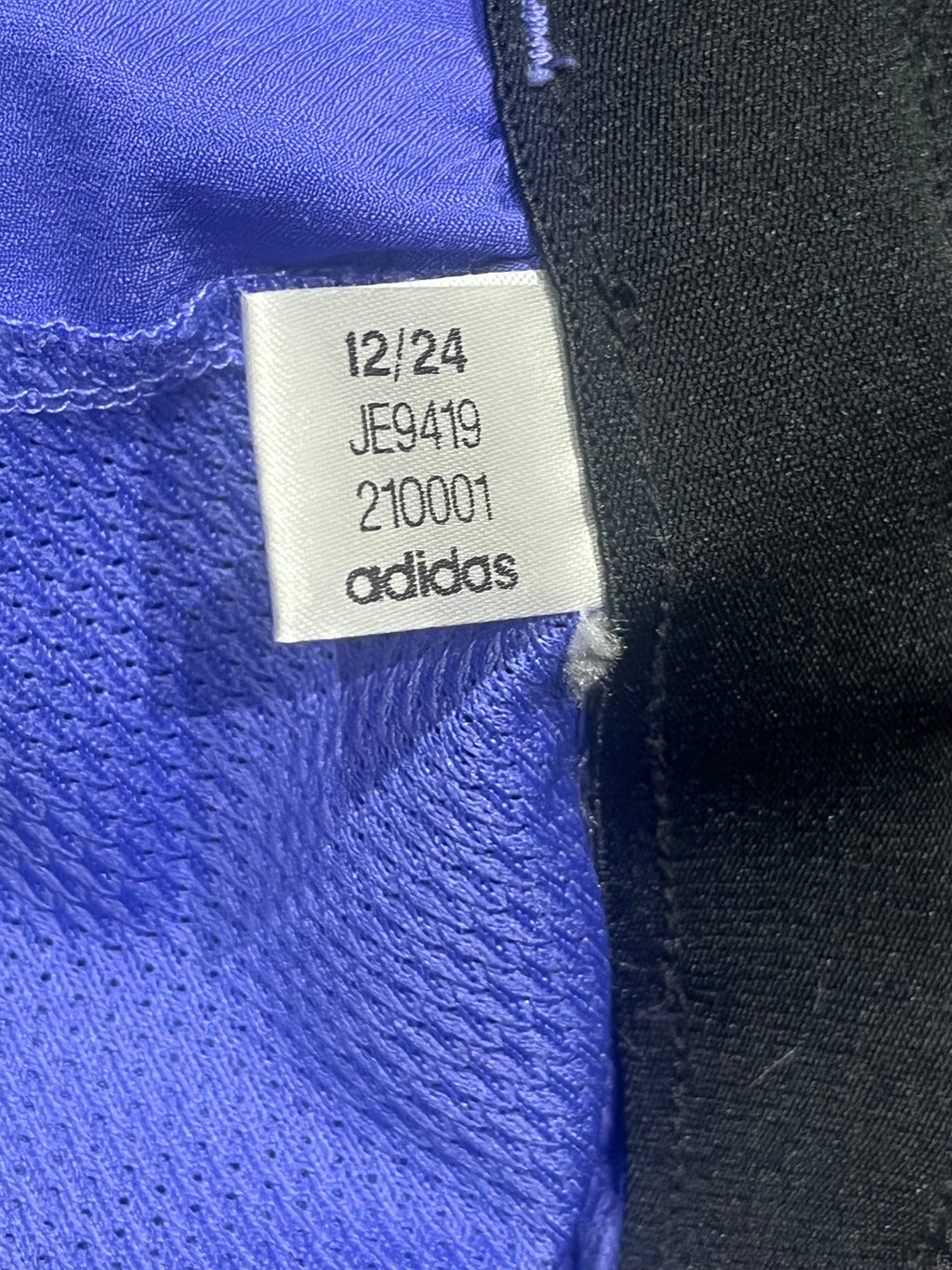Blueish Purple Adidas Men’s Terrex Light Running Shorts