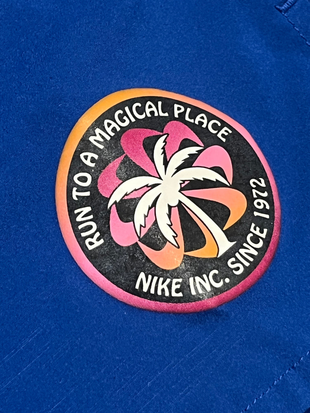 Blue/Black Nike 2019 Special Edition Dri Fit Flex Stride Shorts
